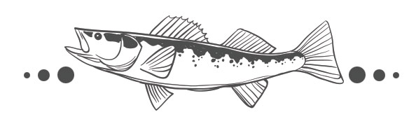 fish_walleye